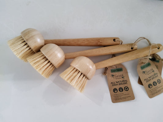 Dish Brush