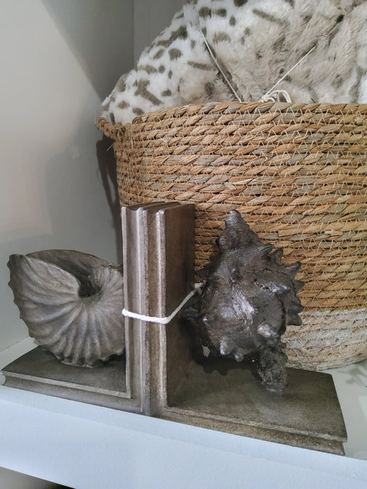 Shell Bookends