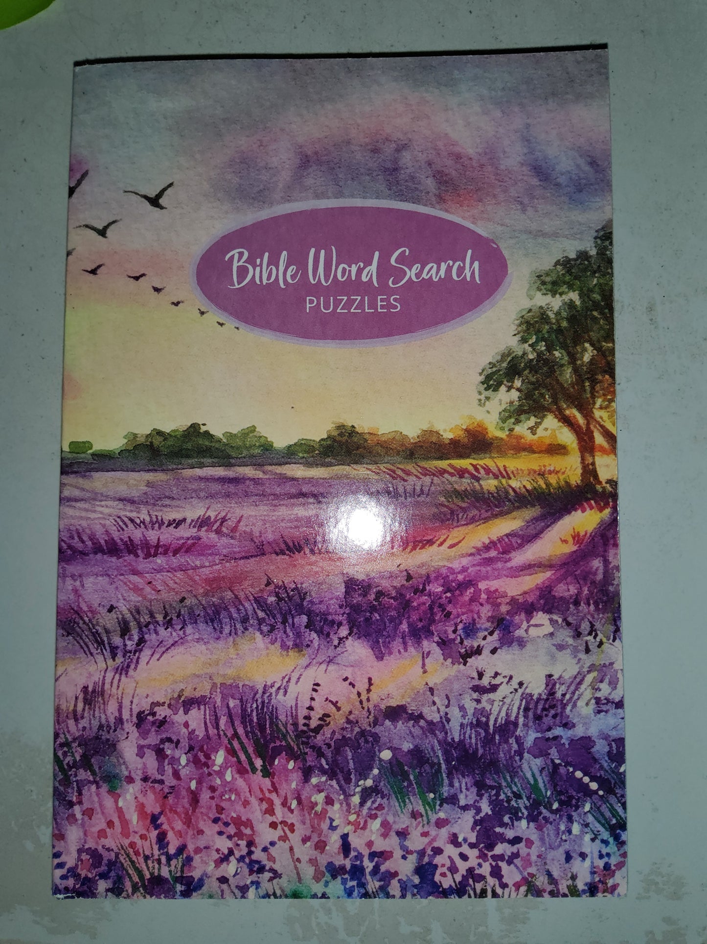 Bible Word Search Puzzles