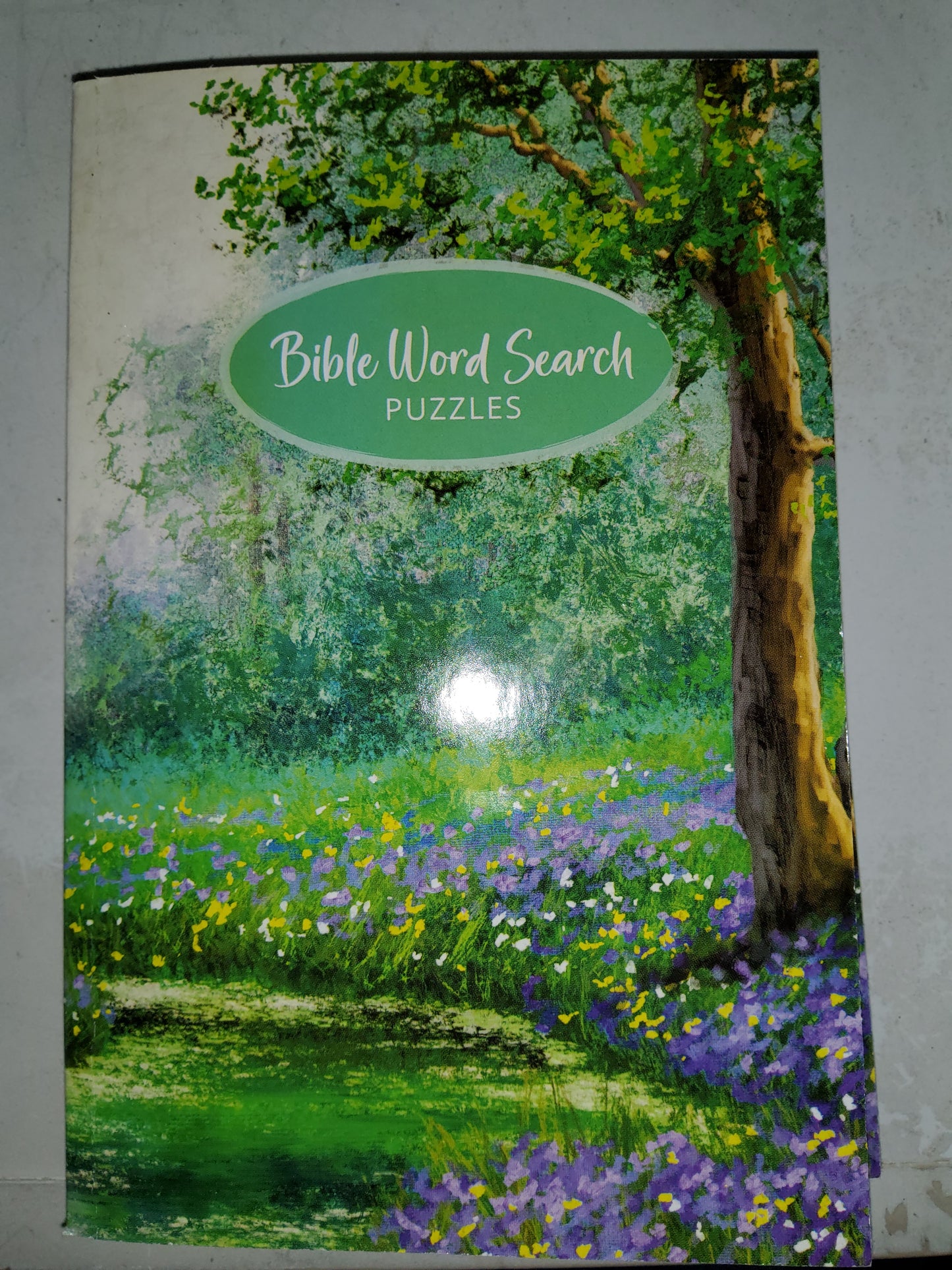 Bible Word Search Puzzles